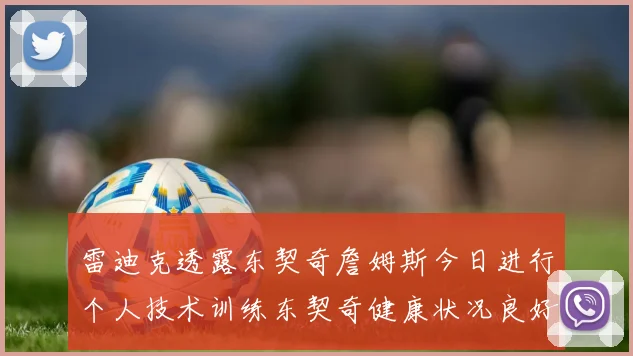 雷迪克透露东契奇詹姆斯今日进行个人技术训练东契奇健康状况良好